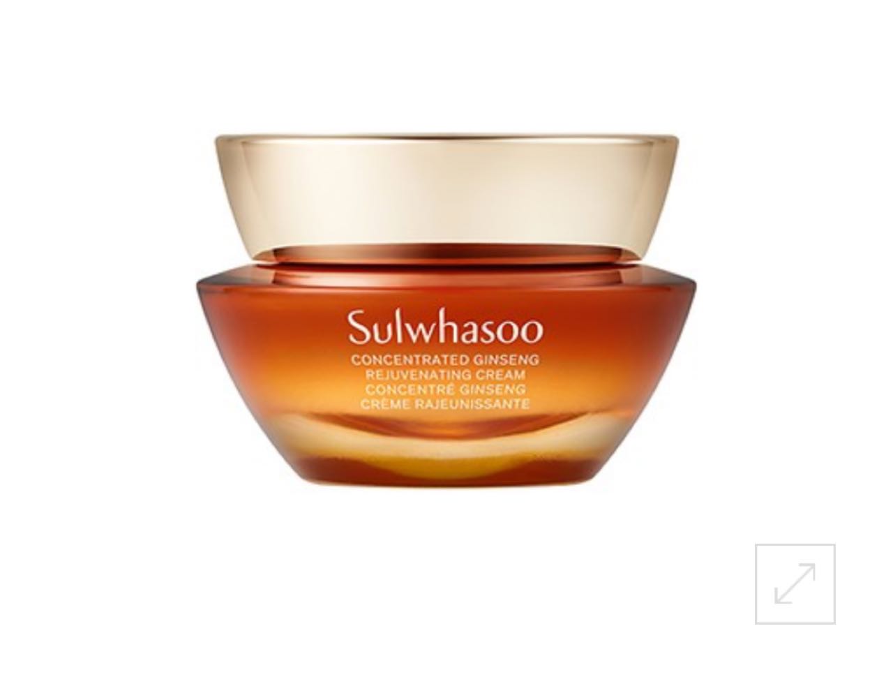 Sulwhasoo Concentrated Ginseng Rejuvenating Cream